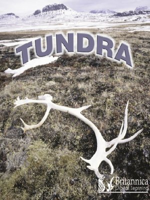 cover image of Tundra